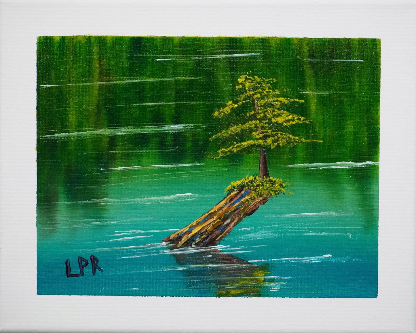 Stump in Water 8x10