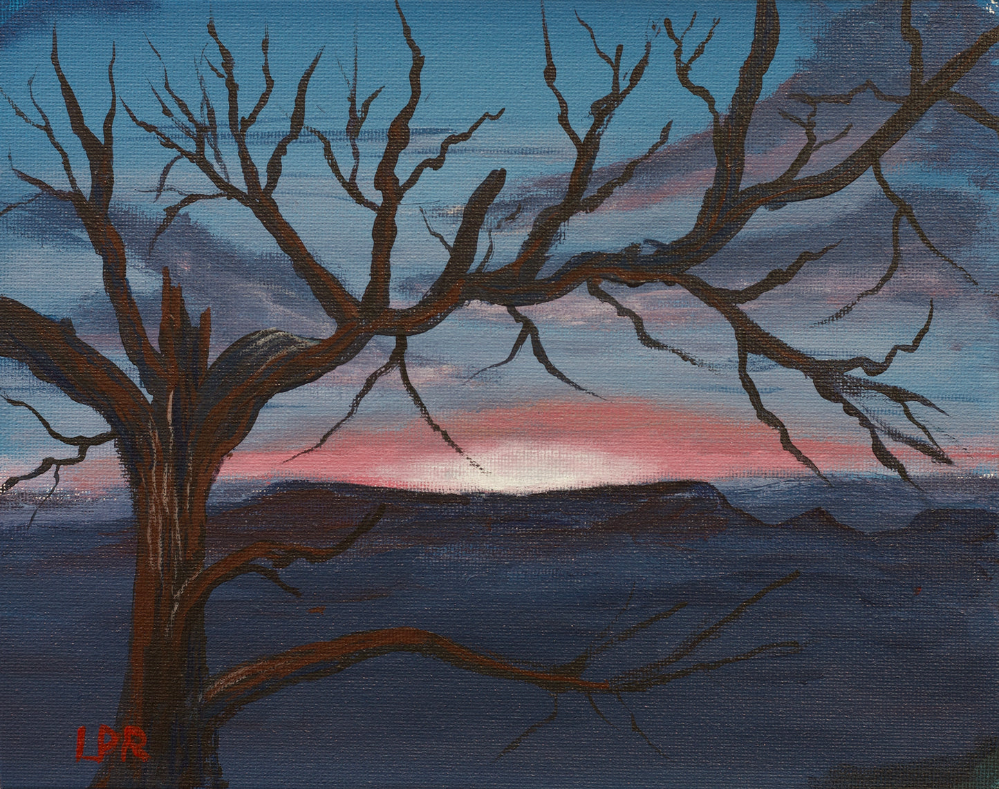 Old Creepy Tree 8x10