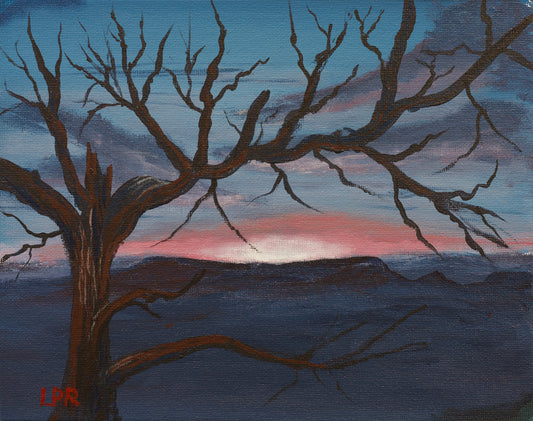 Old Creepy Tree  8x10